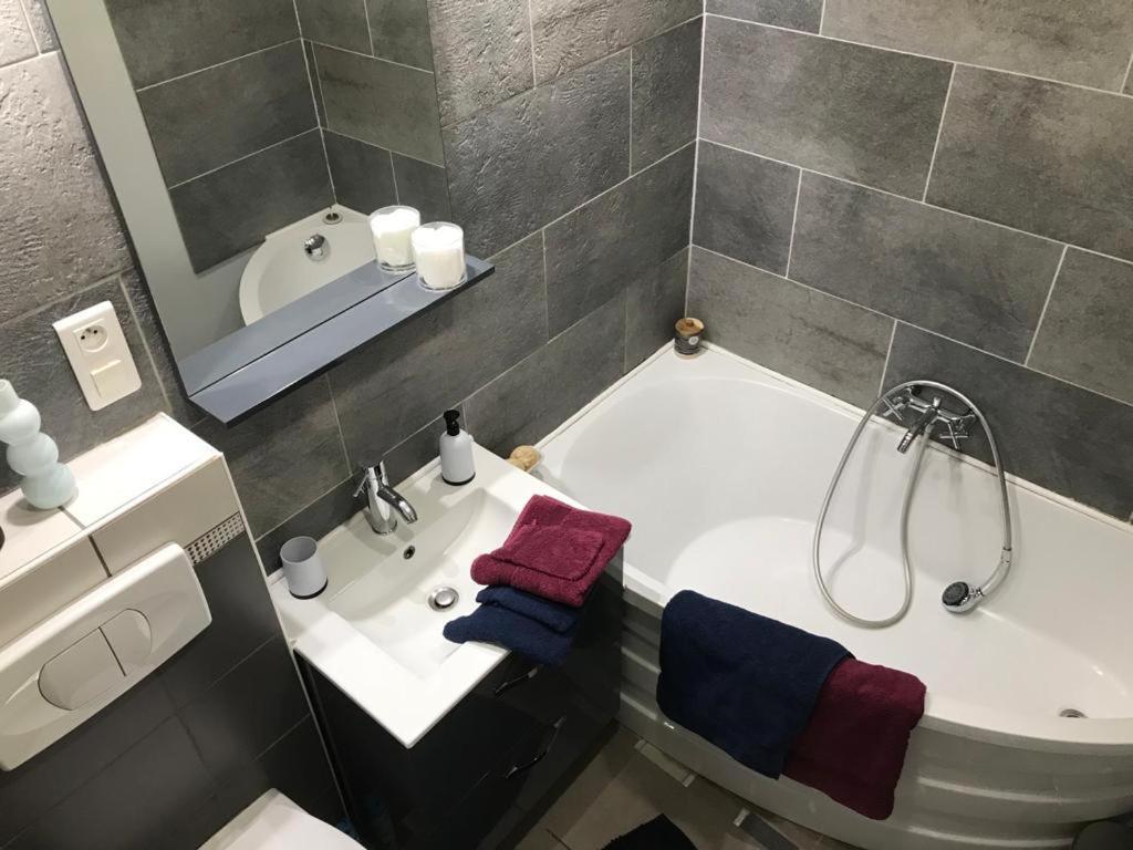 Bel Appartement Lumineux Avec Exterieur Rosieres-aux-Salines Bagian luar foto