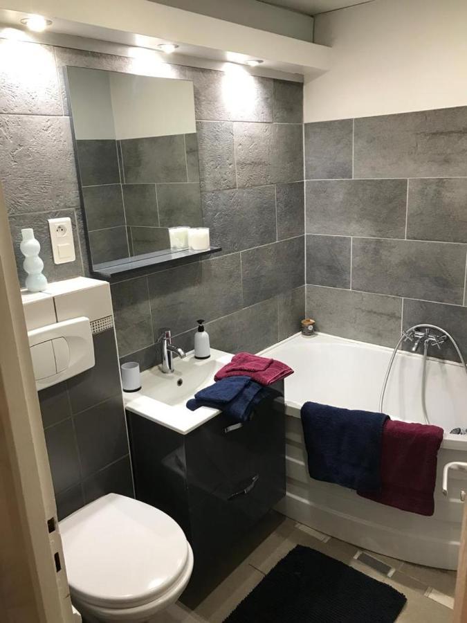 Bel Appartement Lumineux Avec Exterieur Rosieres-aux-Salines Bagian luar foto